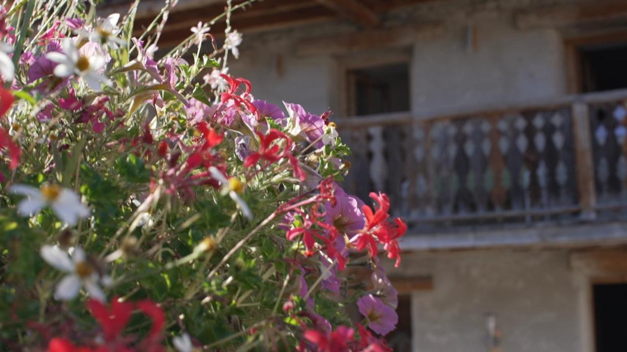 Chalets Violettes Villaroger Extérieur photo